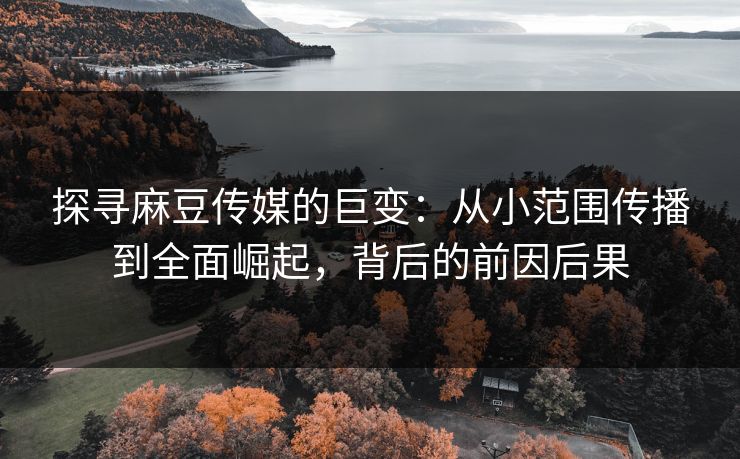 探寻麻豆传媒的巨变：从小范围传播到全面崛起，背后的前因后果